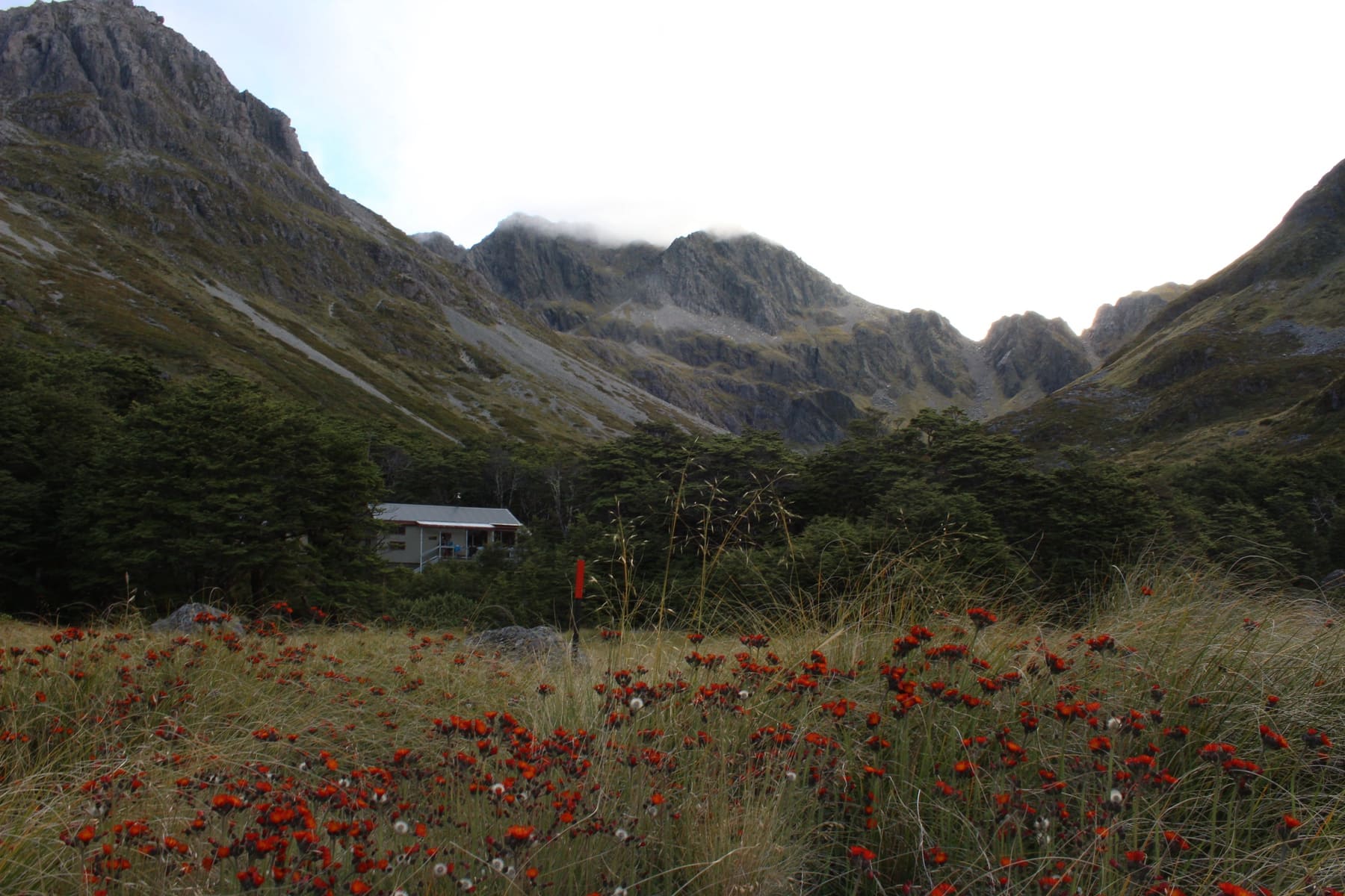 Hütte Te Araroa Neuseeland