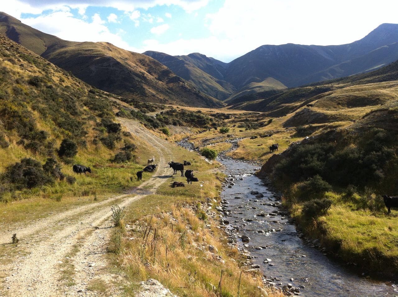 Te Araroa Wandern Neuseeland
