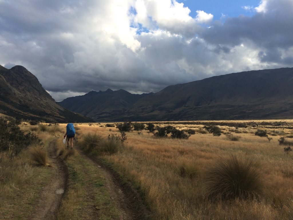 Landschafts Panorama auf Te Araroa Trail
