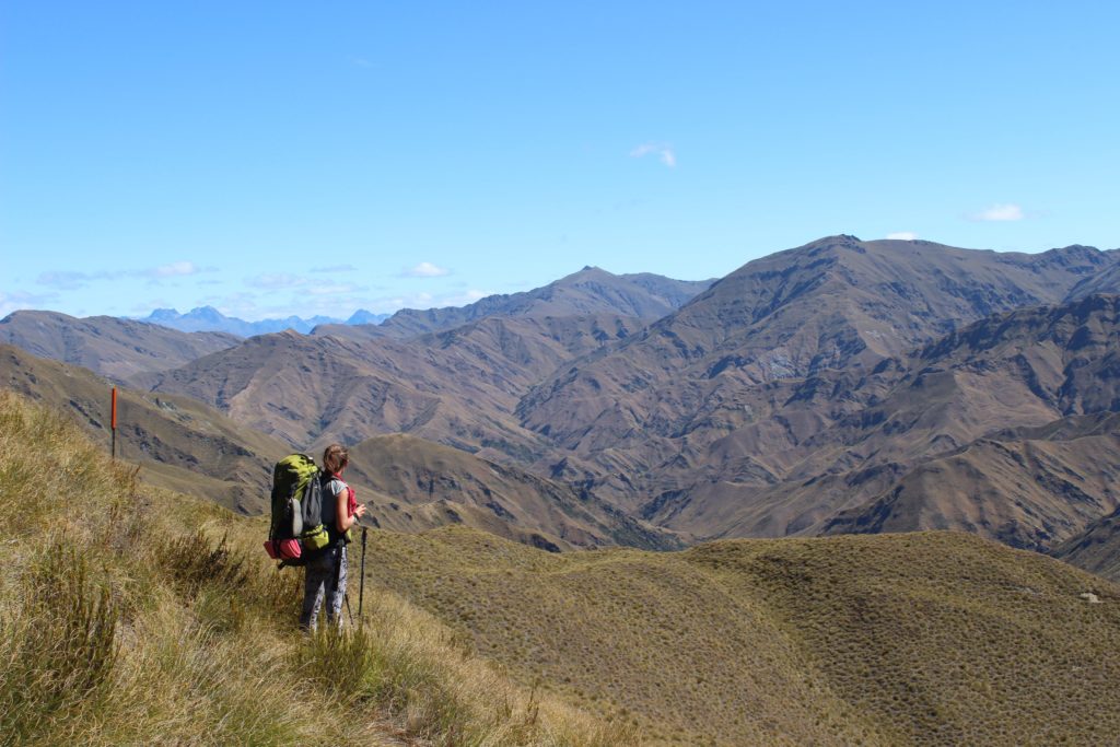 Panorama Blick vom Te Araroa Trail