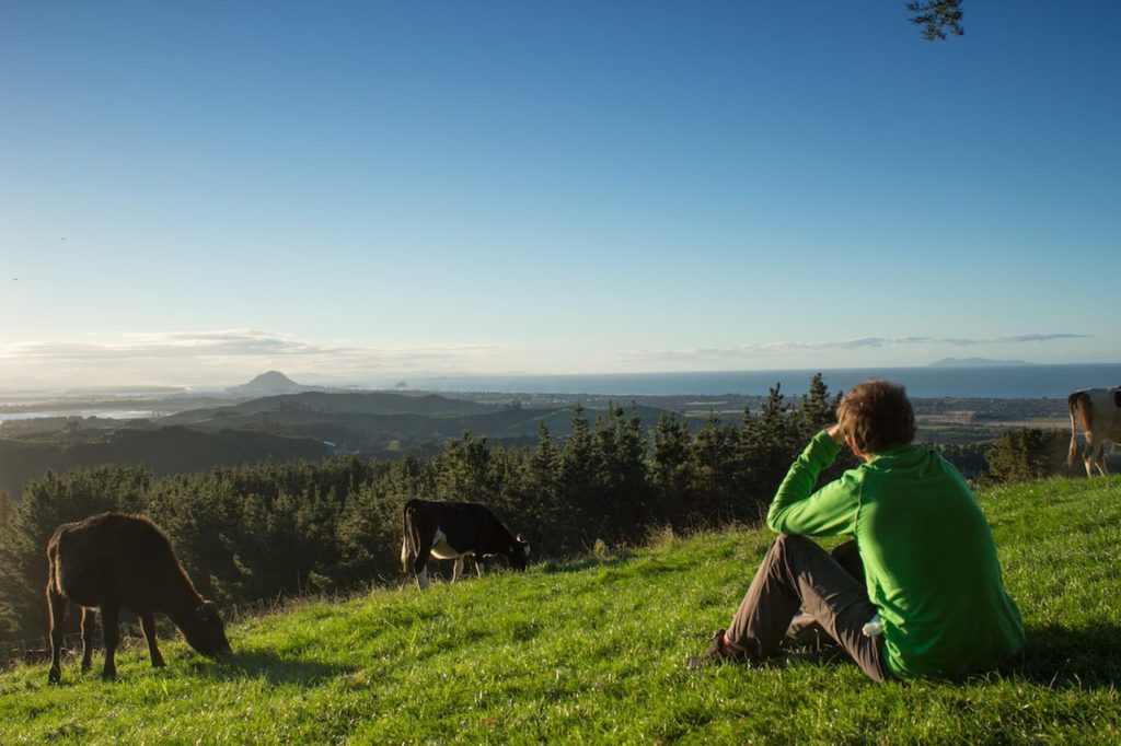 Ausblick auf Mount Maunganui Neuseeland