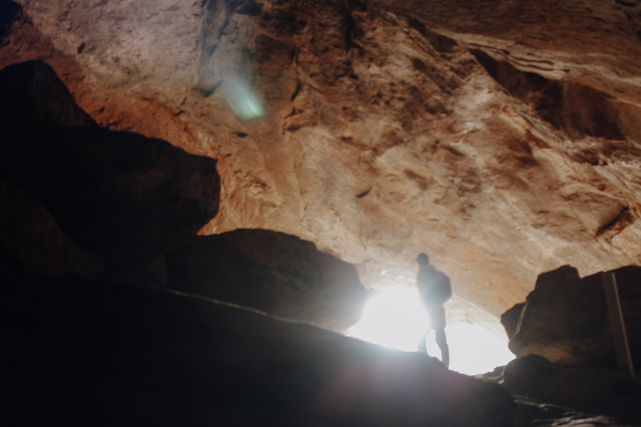 Waipu Cave: Glühwürmchenhöhle im Northland