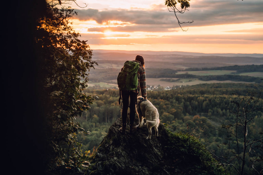 Taunus Berg-Panorama mit Hund