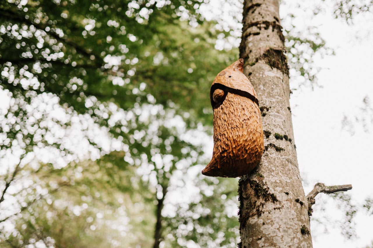 Ausflugsziele im Taunus • Die schönsten Ziele und Insidertipps!