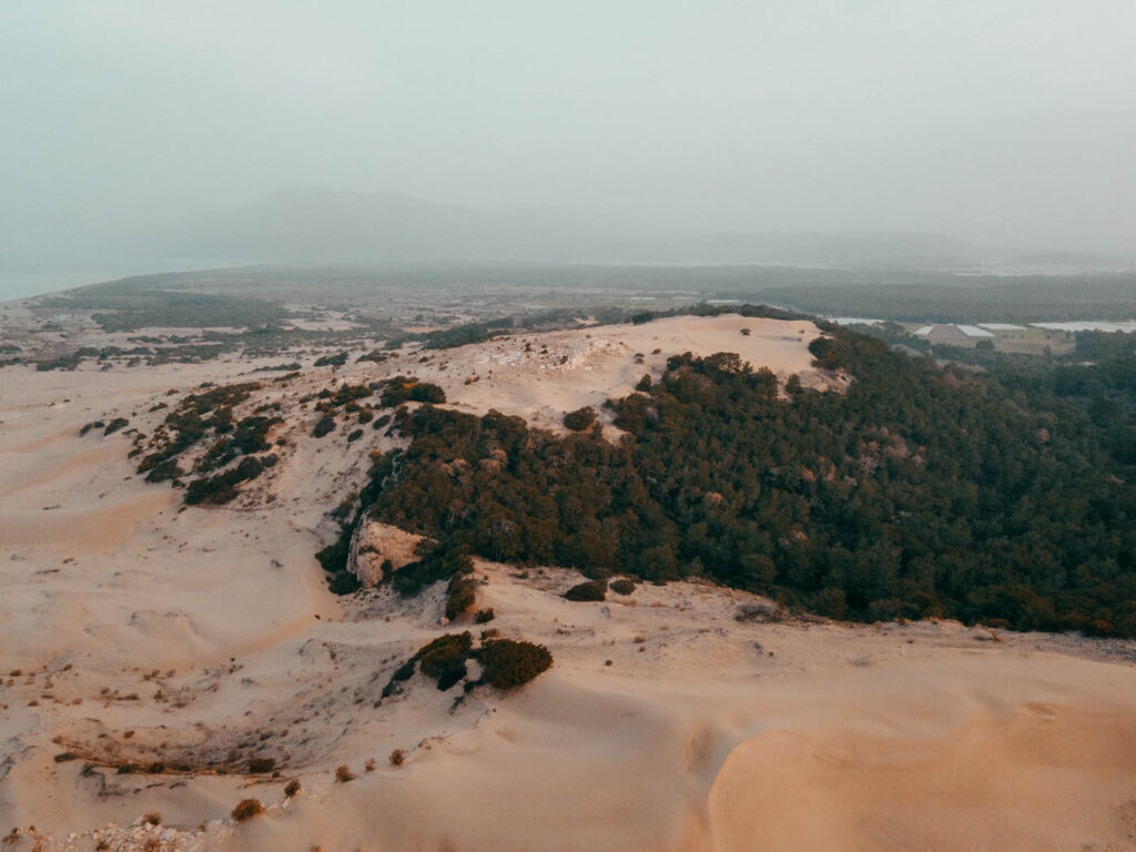 Blick von oben auf die bewaldete Dünenlandschaft des Patara Strandes