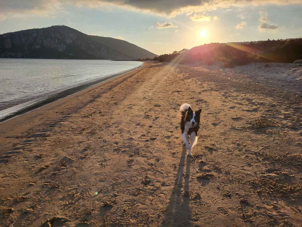 Spaziergang bei Sonnenuntergang am Golden Beach
