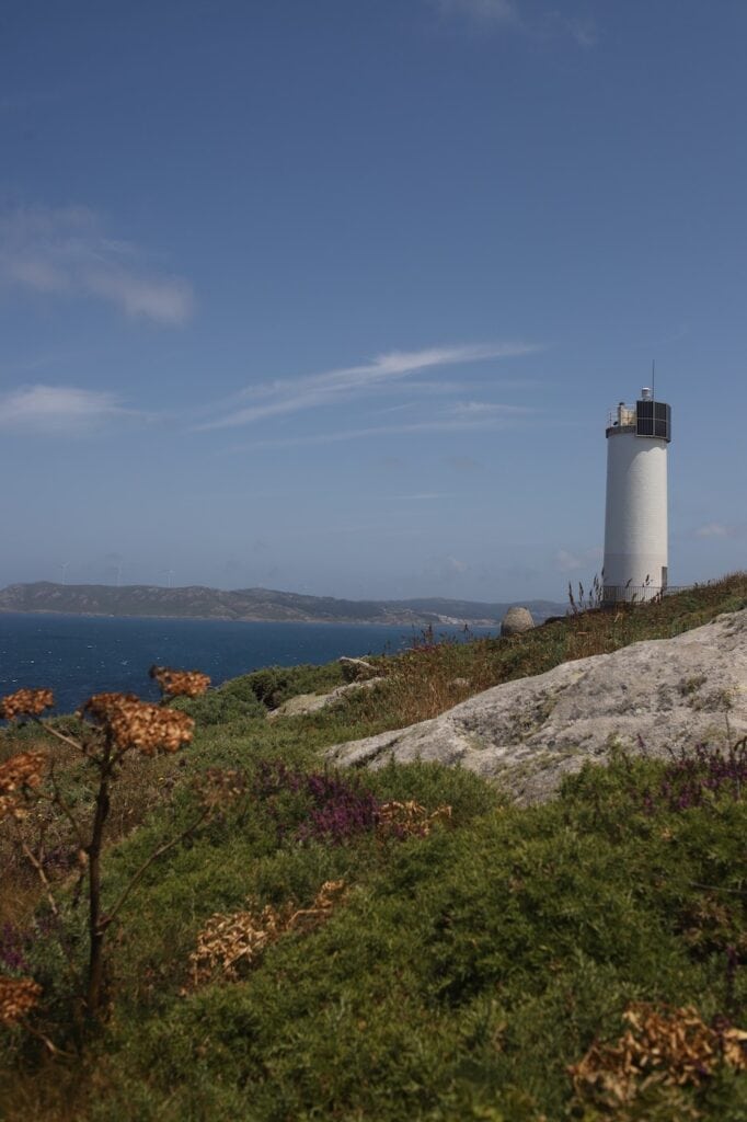 Blühende Natur und Blumen rund um das Cabo de Laxe in Nordspanien