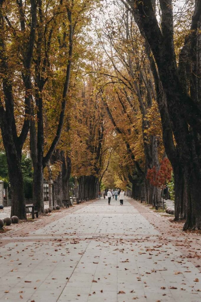 Herbstliche Allee inmitten der Stadt Vitoria-Gasteiz, Baskenland.